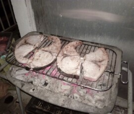 Στιγμή από το φωτογραφικό αρχείο της ΣΑΡΙΣΑ